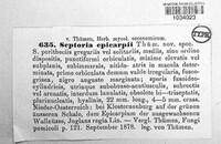 Image Associated With the Occurence